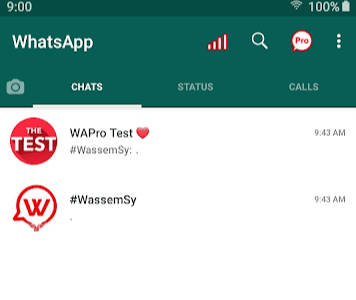 WhatsApp Pro Mod Screenshot1