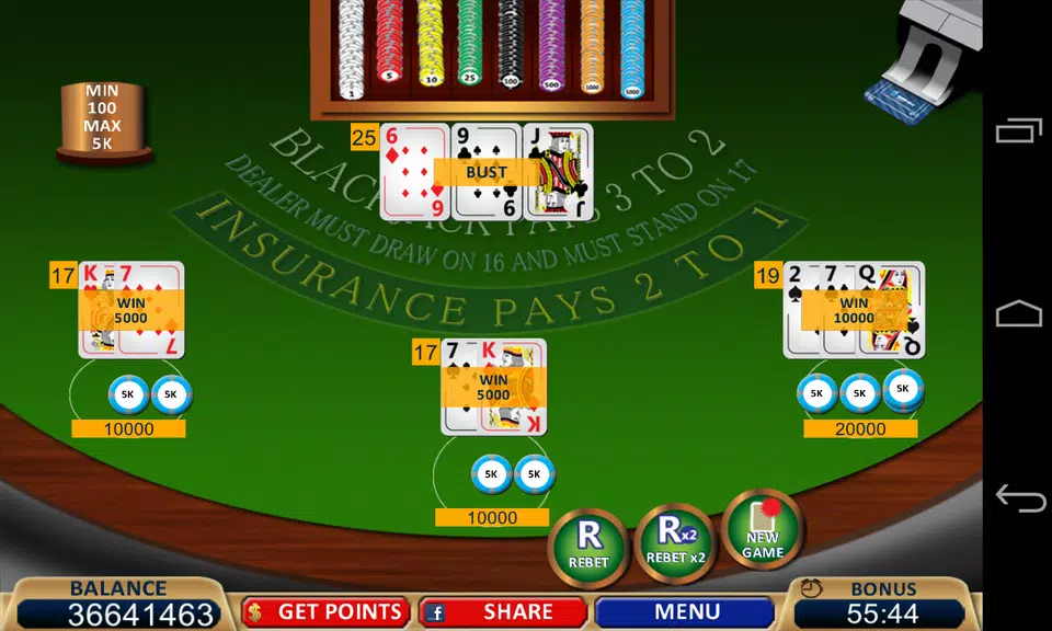 Blackjack 21+ Casino Card Game Screenshot2