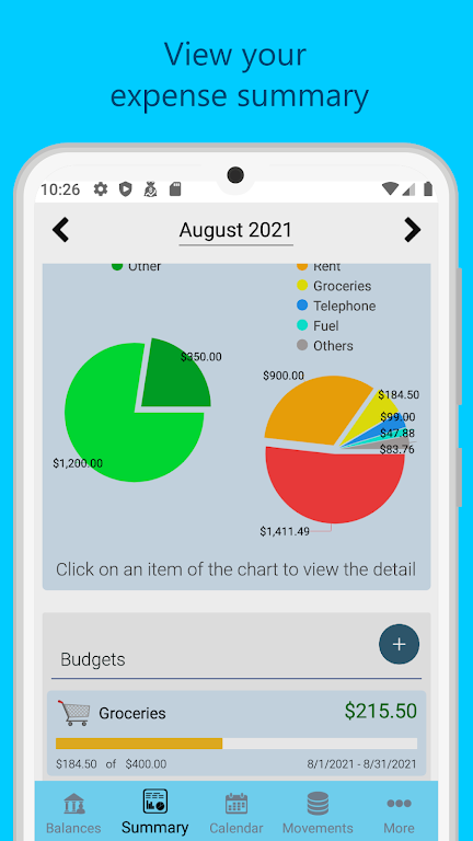 Saru - Expenses and Money Screenshot3