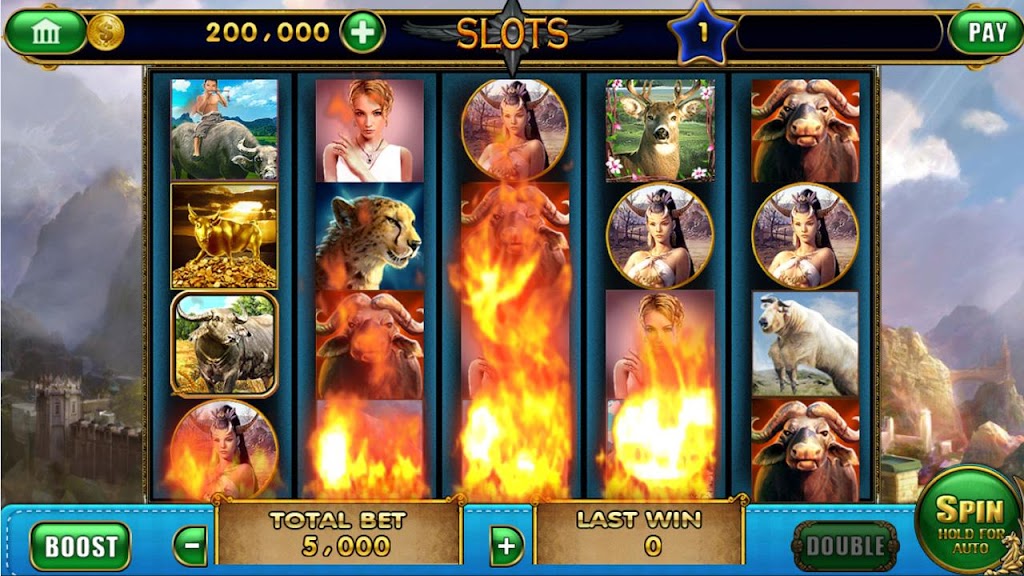 Casino Slots™ Screenshot3