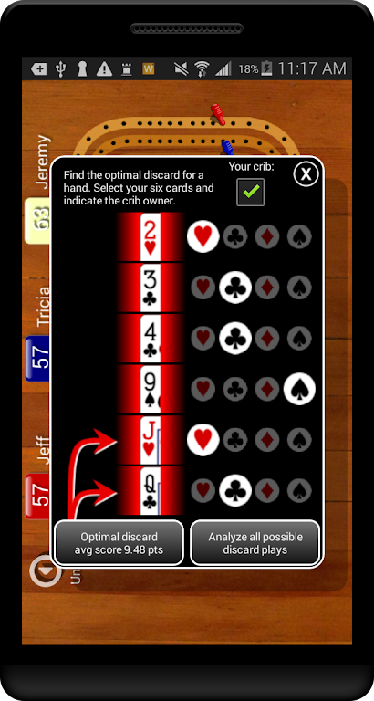 Cribbage Pegboard Screenshot3