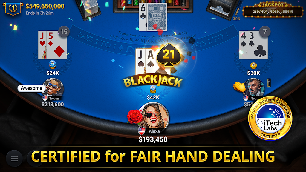 Blackjack Championship Screenshot1