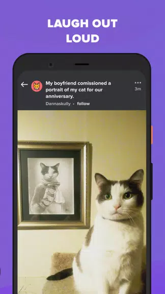 Imgur: Funny Memes & GIF Maker Screenshot4