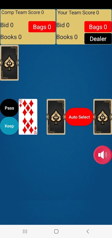 Two Player Spades Screenshot2