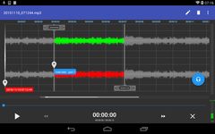 RecForge II - Audio Recorder Screenshot3