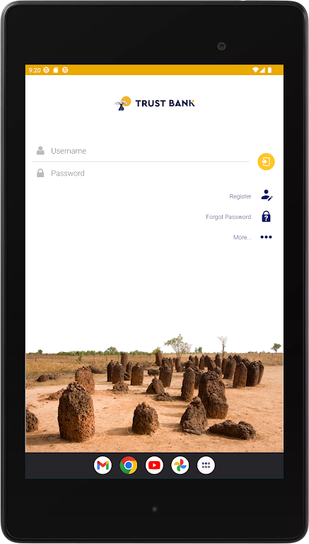 Trust Bank Gambia Screenshot4