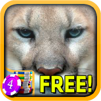 Cougar Slots - Free APK