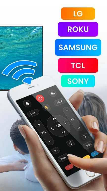 Remote Controller For All TV Screenshot3