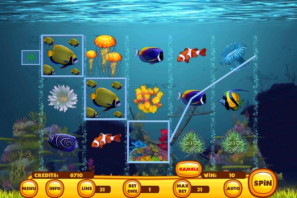 Yellow Fish Slot Screenshot3