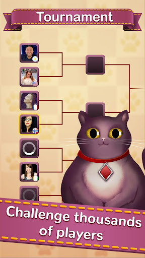 Solitaire Cats Screenshot2