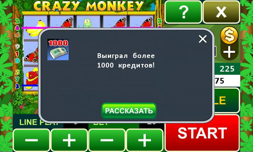 Crazy Monkey slot machine Screenshot1