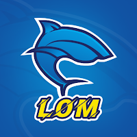 LomVPN APK