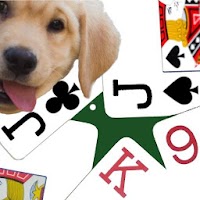 K9 Euchre: Multiplayer Trick-taking Card Game APK