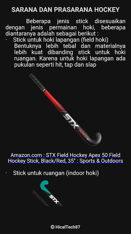 Belajar Hockey Screenshot3