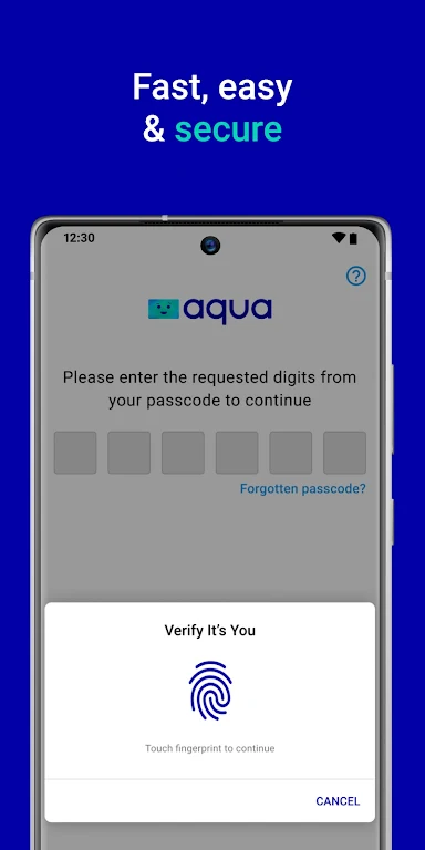 Aqua credit card Screenshot4