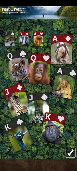 FLICK SOLITAIRE - FLICKING GREAT NEW CARD GAME Screenshot5