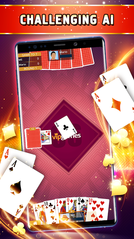 Sixty-Six Offline - Card Game Screenshot2