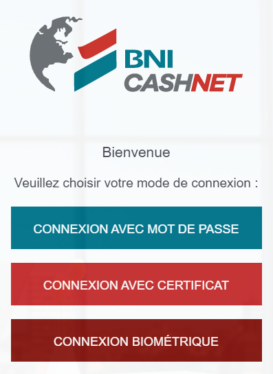 BNI CashNet Screenshot1