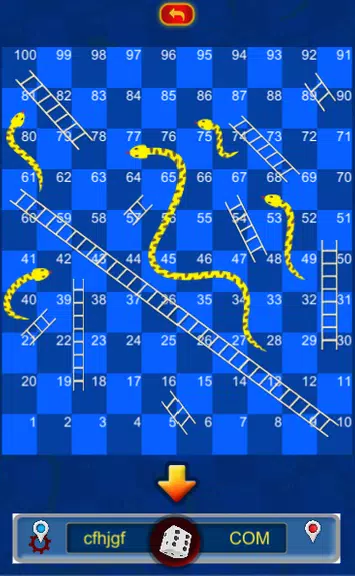 Super Games - Ludo, Chess, Callbreak, Snake Ladder Screenshot2