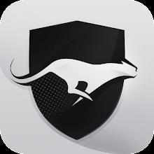 Run vpn APK