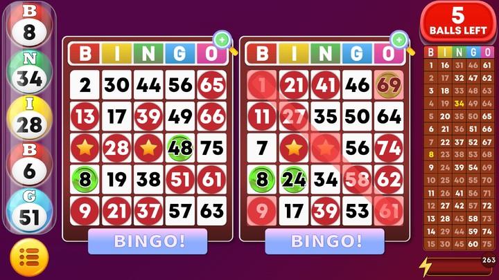 Bingo Classic Game - Offline Free Screenshot2