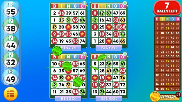 Bingo Classic Game - Offline Free Screenshot3