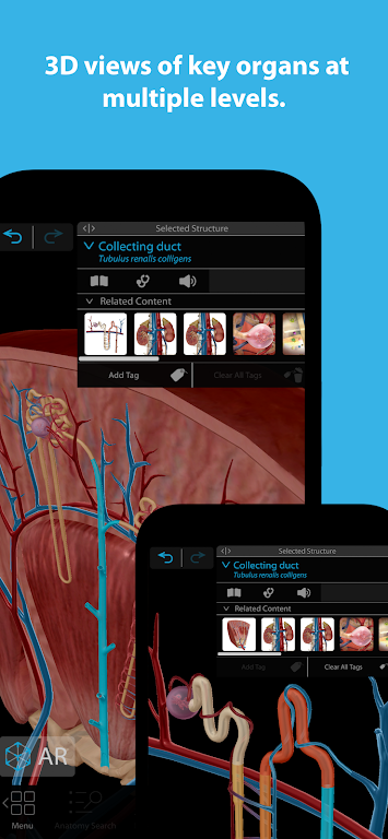 Human Anatomy Atlas 2024 Mod Screenshot2