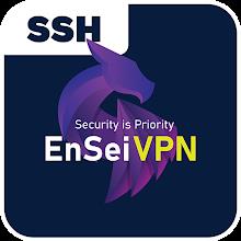 EnseiVPN Pro APK