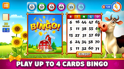 Bingo Cowboy Story Screenshot3