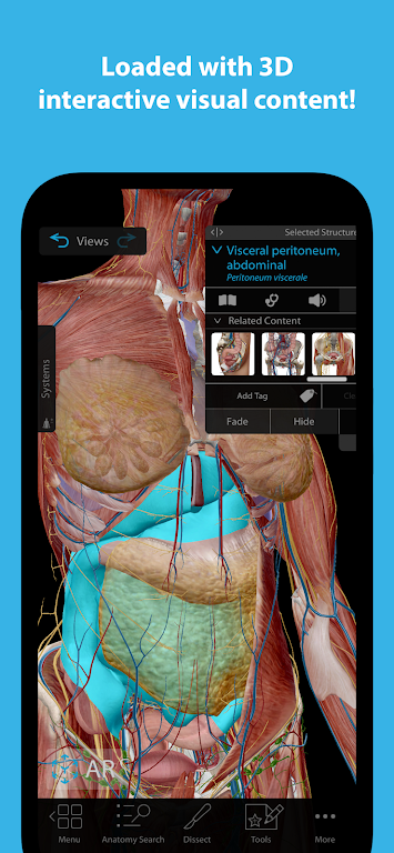 Human Anatomy Atlas 2024 Mod Screenshot3