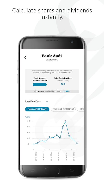 Bank Audi IR Screenshot4