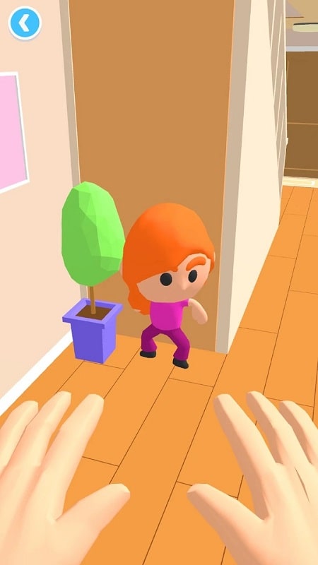 Hide N' Seek 3D Screenshot3