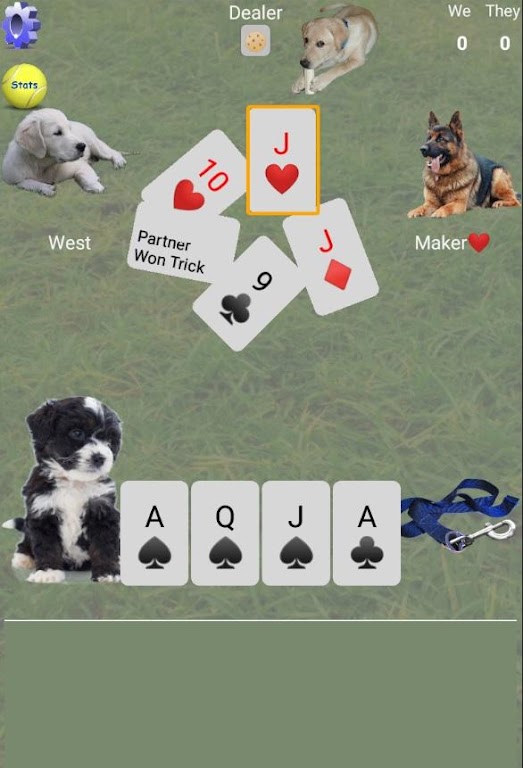 K9 Euchre: Multiplayer Trick-taking Card Game Screenshot2