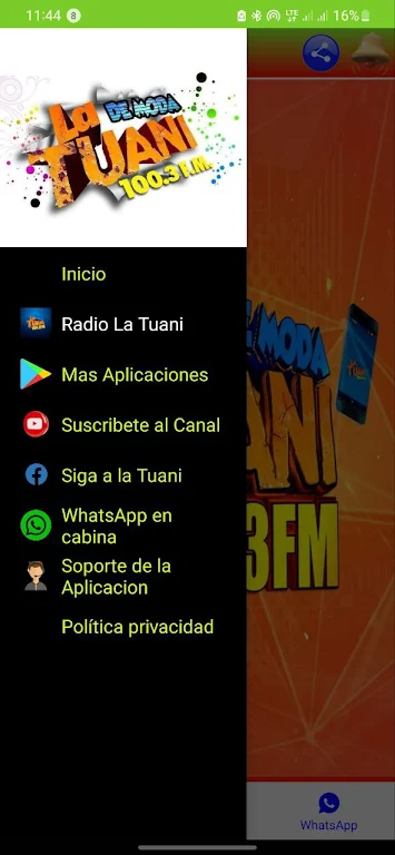 Radio la Tuani - 100.3 FM Screenshot3