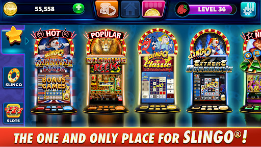 Slingo Arcade - Slots & Bingo Screenshot2