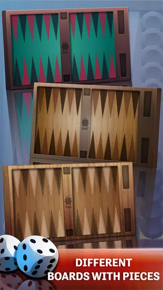 Backgammon-Offline Board Games Screenshot3