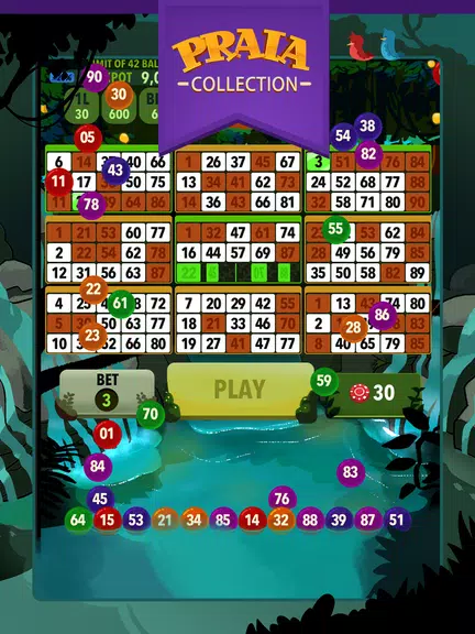 Video Bingo Ubatuba Screenshot4