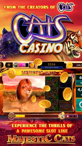 CATS Casino – Real Hit Slot Ma Screenshot1