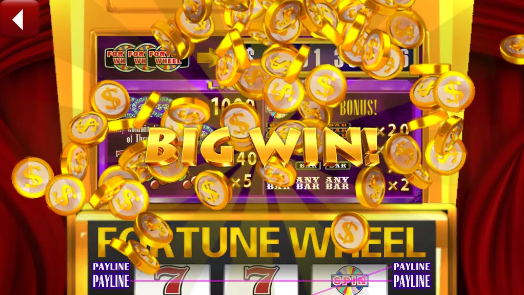 Fortune Wheel Slots HD Slots Screenshot3