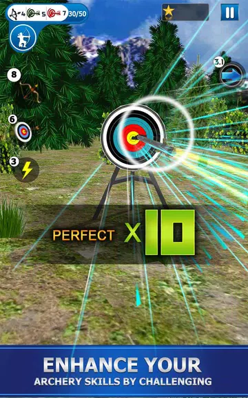 Archery Shoot Screenshot2