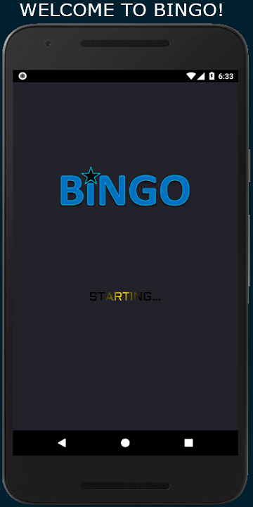 Bingo: 5 Line Game Screenshot1