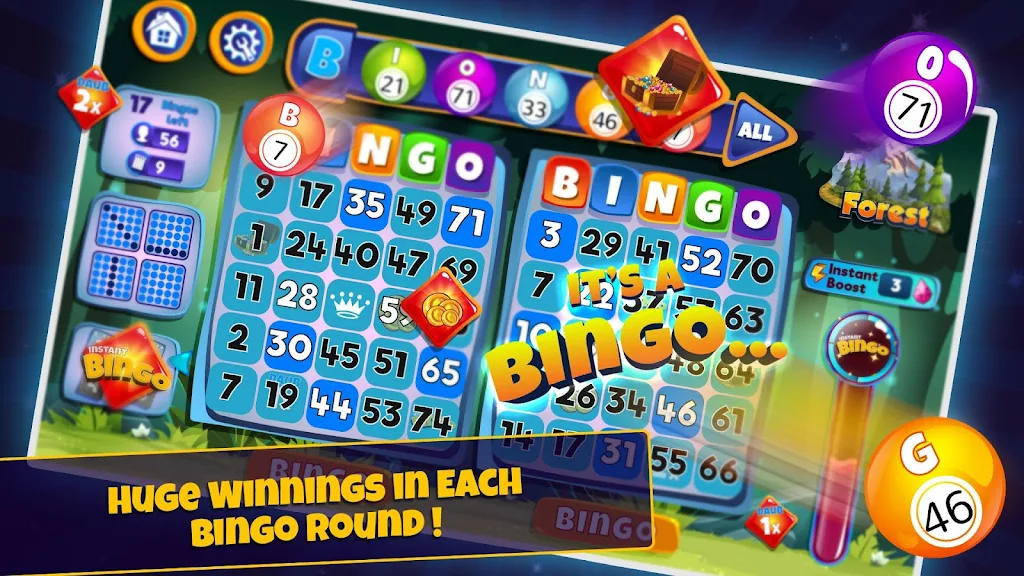 Online Bingo Hall-Card Players Screenshot2