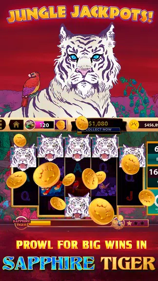 CATS Casino – Real Hit Slot Ma Screenshot3