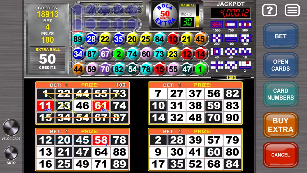 Video Bingo Mega Ball Flex Screenshot3