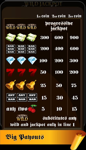 Wild Jackpot Slot Machine Screenshot4