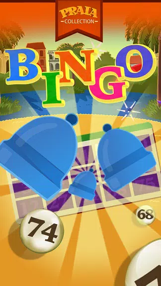 Video Bingo Menton Screenshot2