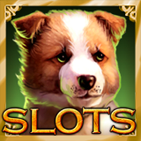 Casino Slots - Jackpot Machine APK