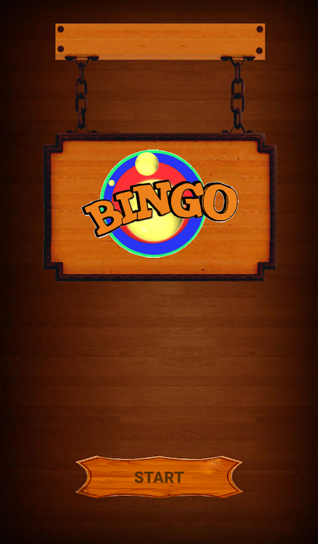 The Crazy Bingo Screenshot1