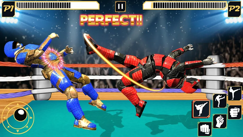 Real Robot Wrestling - Robot F Screenshot2