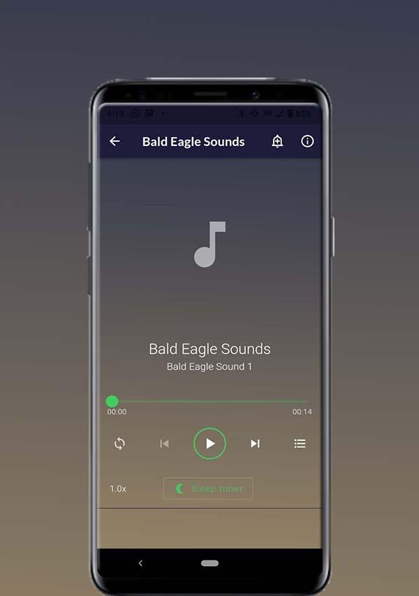 Bald Eagle Sounds Screenshot2